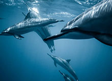 PG：品质与成长的生活实践之道