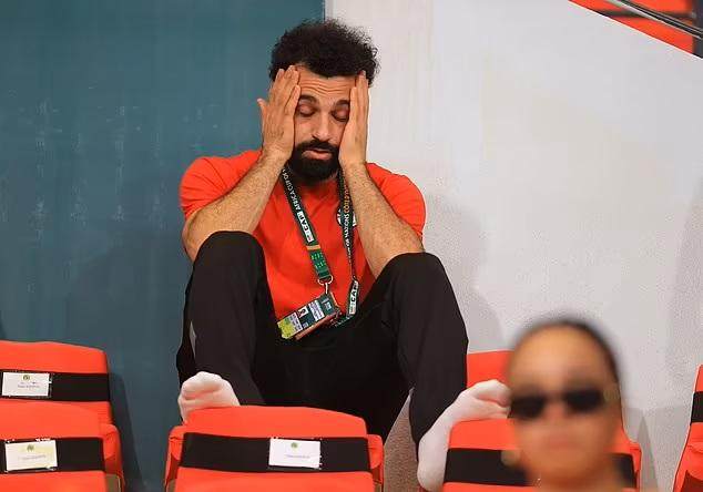 1709454359736022411.jpg 12.jpg